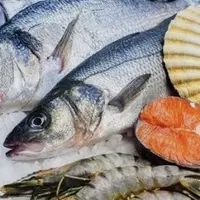 al-mawaleh-turkish-coffee-shop - اسماك