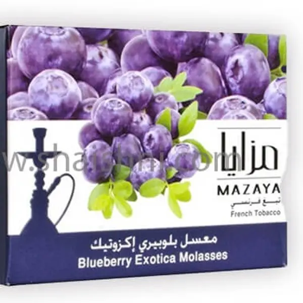 alosmalycaffeshop - Blueberry advantages