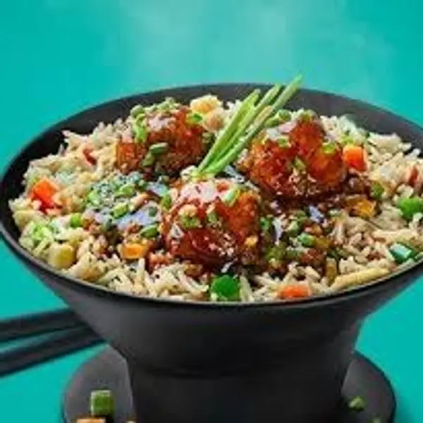 bawarchi-restaurant - VEG-MANCHURIAN-FRIED RICE-PLATE