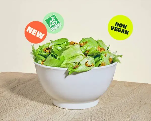 bioburger-le-marais - SALADE VERTE