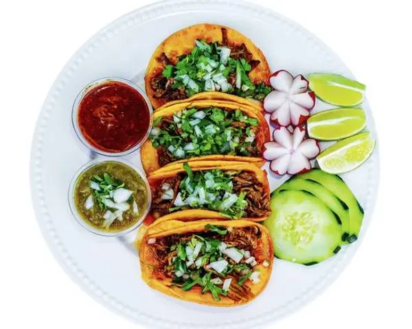 birrieria-becerrito - Regular Birria Taco (1pc)