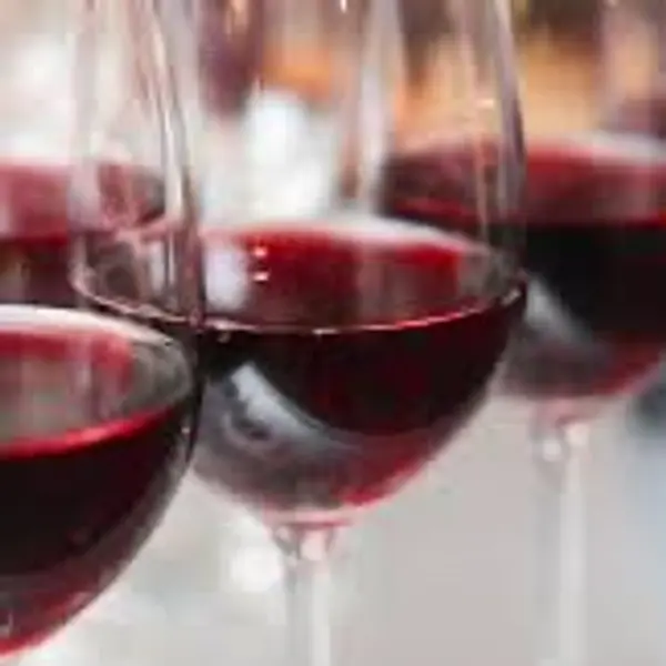 bistro-240 - A Taste of Portugal | Tinto Wine Tasting