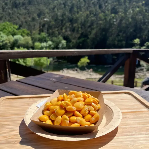 casa-do-areinho - Lupins