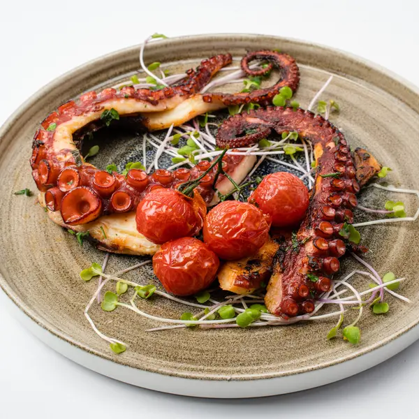 concept-food-cafe-bar - Октопод