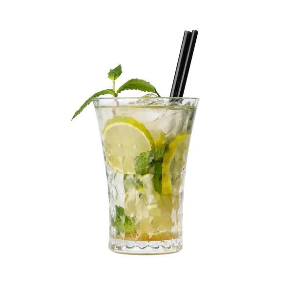 concept-hybrid-bar - Mojito