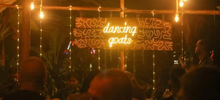 dancing-goats