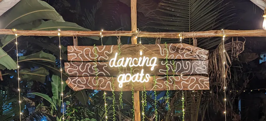 dancing-goats