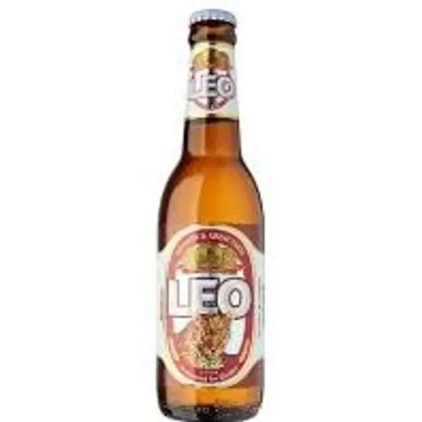 de-bra-hostel - Leo small