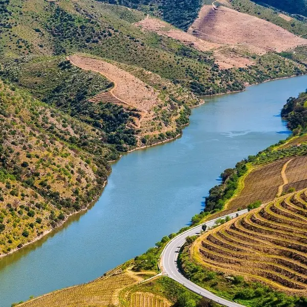 dom-papao - --------DOURO--------