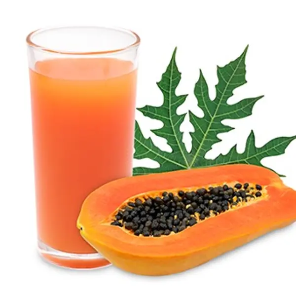 dream-cafe - Papaya