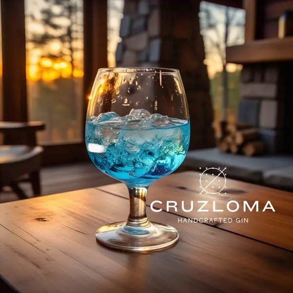 el-vikingo-errante - Gin Tonic