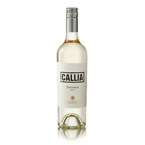 enoteca-viale-trento-trieste-di-ortensia - Torrontés