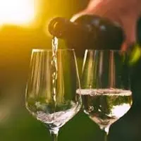 enoteca-viale-trento-trieste-di-ortensia - VINI BIANCHI