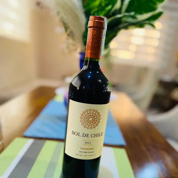 expatriate-inn-sl-limited - Sol De Chile