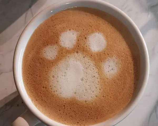 flying-cat-coffee - Latte