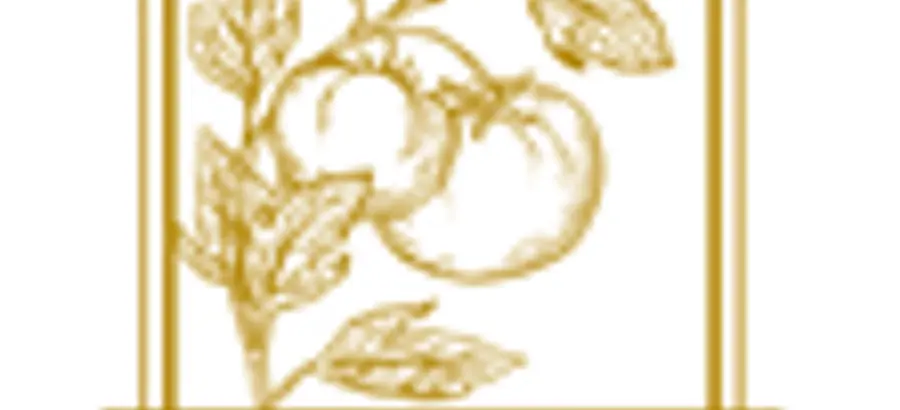 francescas-italian-kitchen