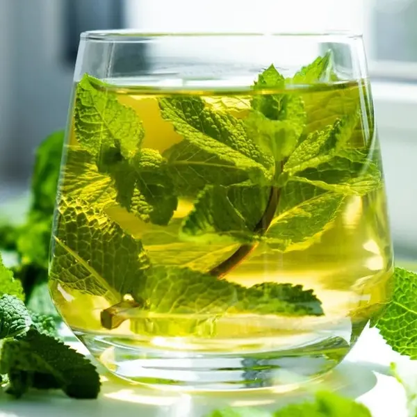 friends-prague - Čaj z čerstvé máty / Fresh Mint Tea