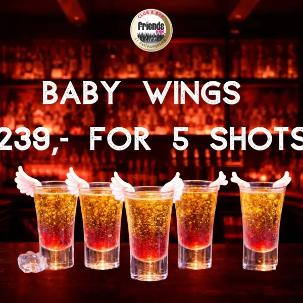 friends-prague - Baby Wings