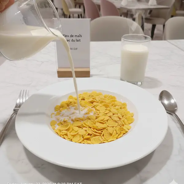 gadileh-resort-hotel-tadjurah - Flex de maïs avec du lait