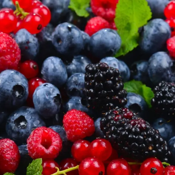 golden-teras - Jingle Mingle