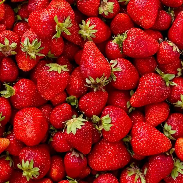 golden-teras - Strawberry