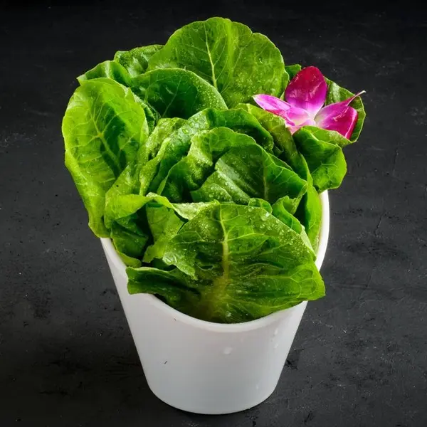 good-luck-hot-pot - M2-生菜Fresh Lettuce