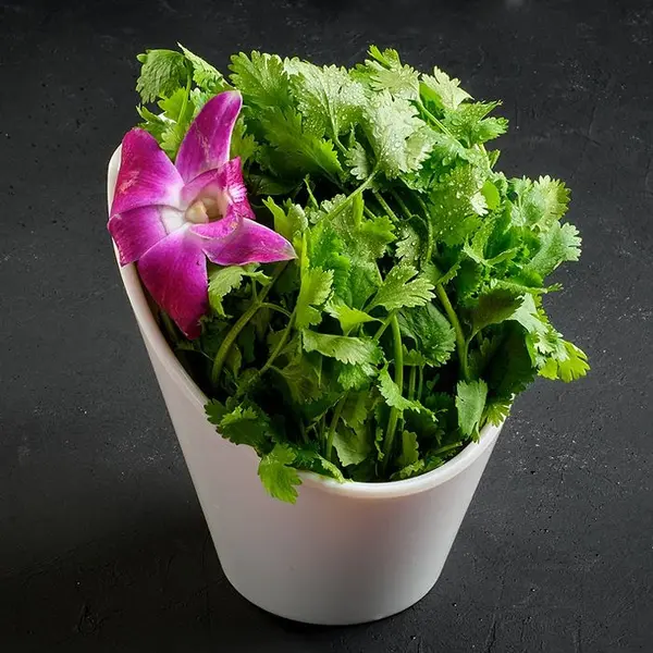 good-luck-hot-pot - M5-香菜Coriander