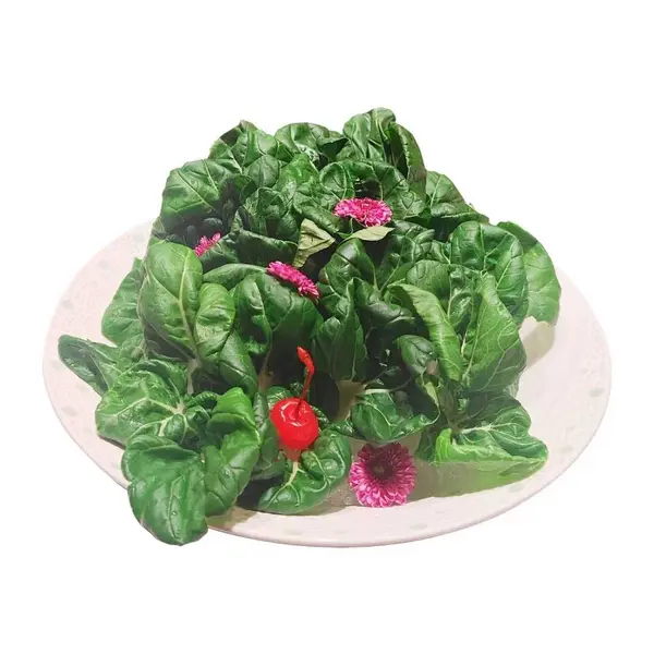 good-luck-hot-pot - M26-有机云朵菜Organic Cloud Cabbage