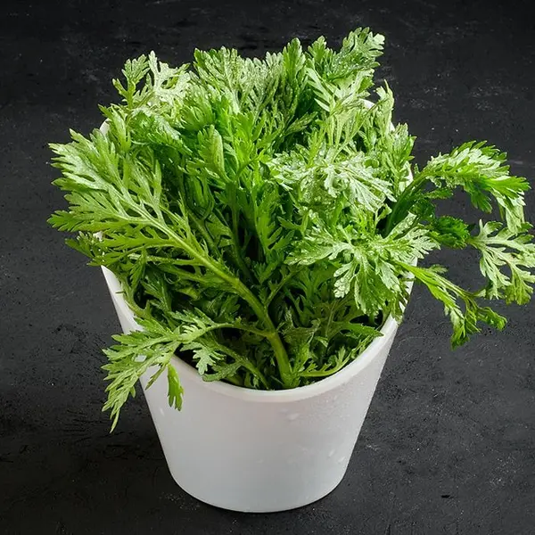 good-luck-hot-pot - M7-鑼艰捒Crown Daisy Green Vegtables