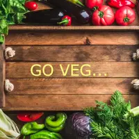 green-onion-restaurant - Veg (Indian)