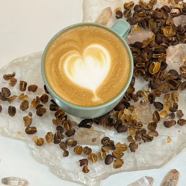 holly-holistic - Cascara Latte