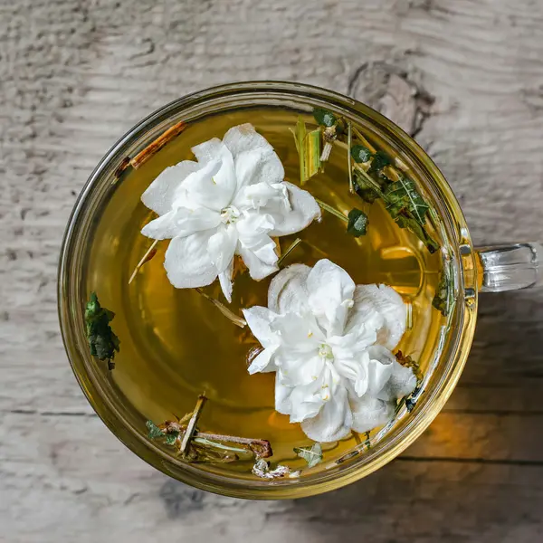 holly-holistic - Jasmine Tea