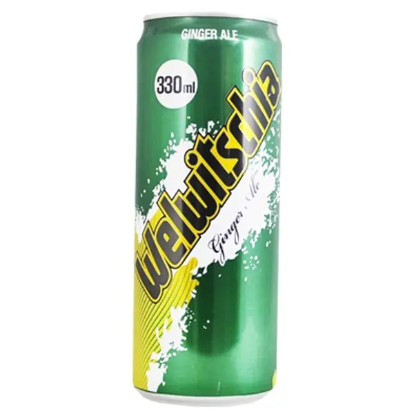 hospedaria-freitas - Welwitschia Ginger Em Lata