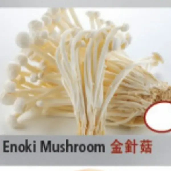 hot-pot-city - Enoki Mushroom