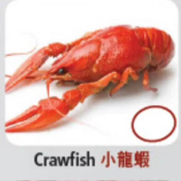 hot-pot-city - Crawfish