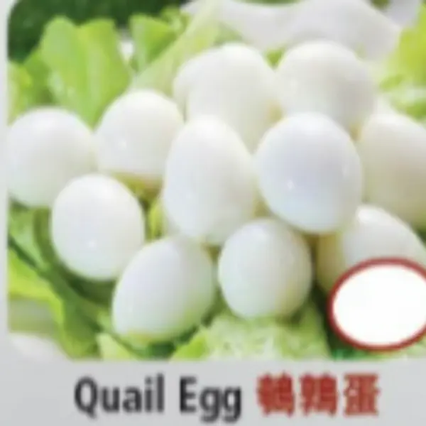 hot-pot-city - Quail Egg