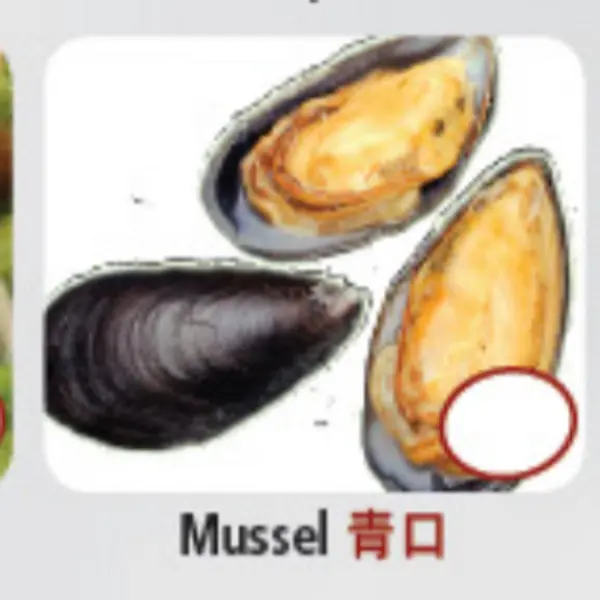 hot-pot-city - Mussel