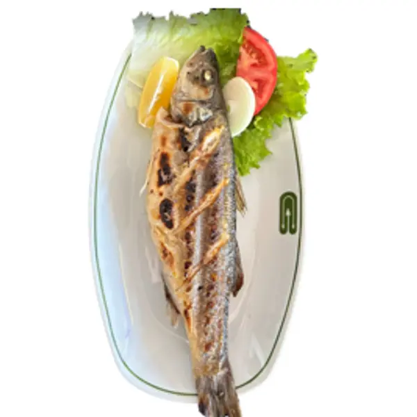 iznik-camlk-motel-restaurant-offical - Levrek