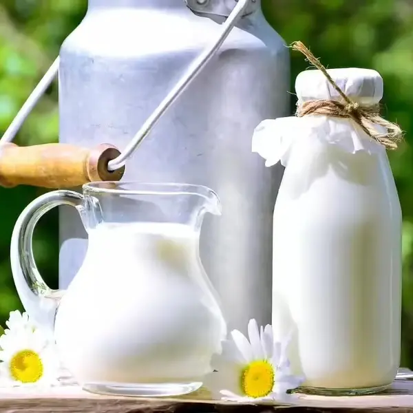 konso-edget-hotel - Milk
