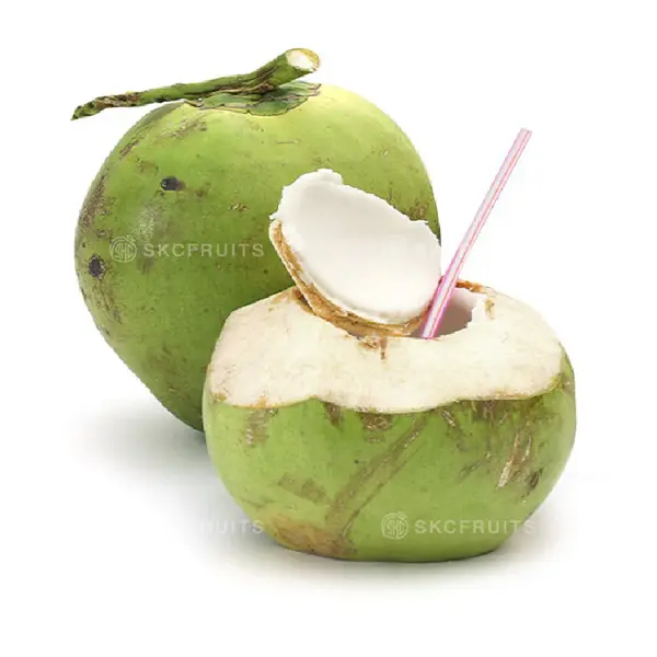 kuda-giri - Fresh Young Coconut