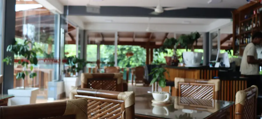 la-plaza-del-cafe-restaurant