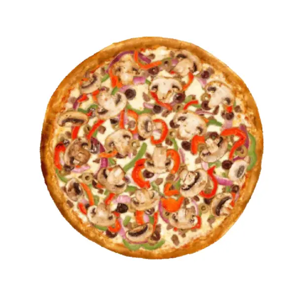 le-corot-tacos-sandwichs-pizzas-burger - Vegetarienne