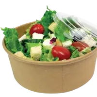 le-corot-tacos-sandwichs-pizzas-burger - Salades
