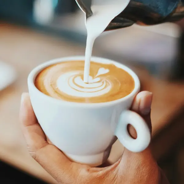 linguru - LATTE