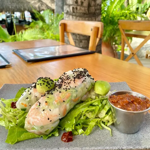 maika-sayulita - Wraps de Asiaticos 💚