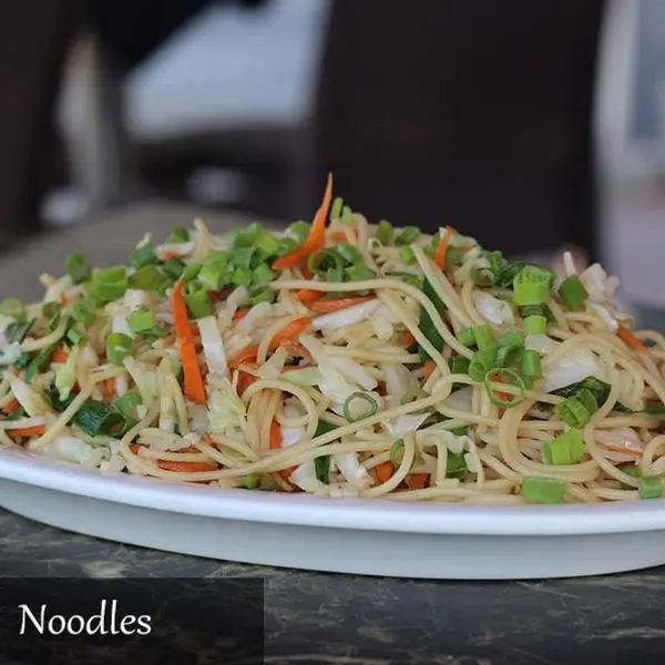 malik-biryani-barbecue-restaurant - Veg. Hakka Noodles