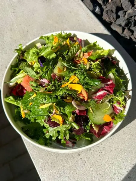 mama-bird - MB Salad