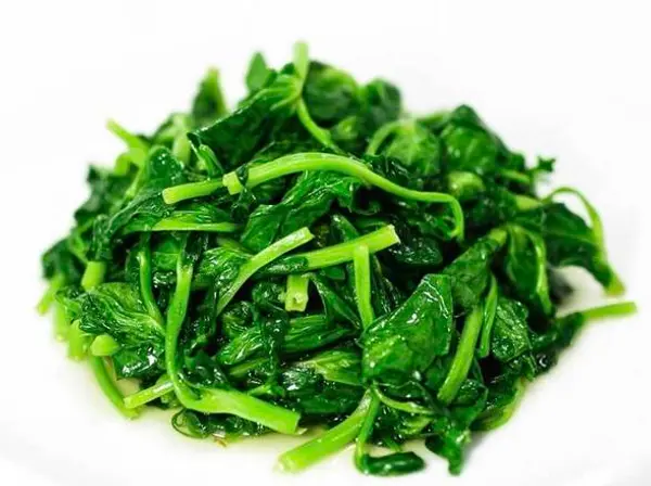 master-kong - Snow Pea Leaf (豆苗)