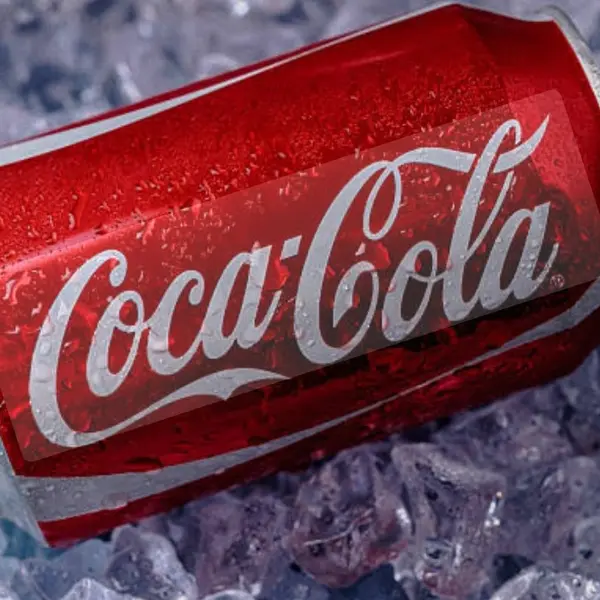 mavi-masa-balik-restaurant-cafe-bar - COLA / PEPSI 330 ml