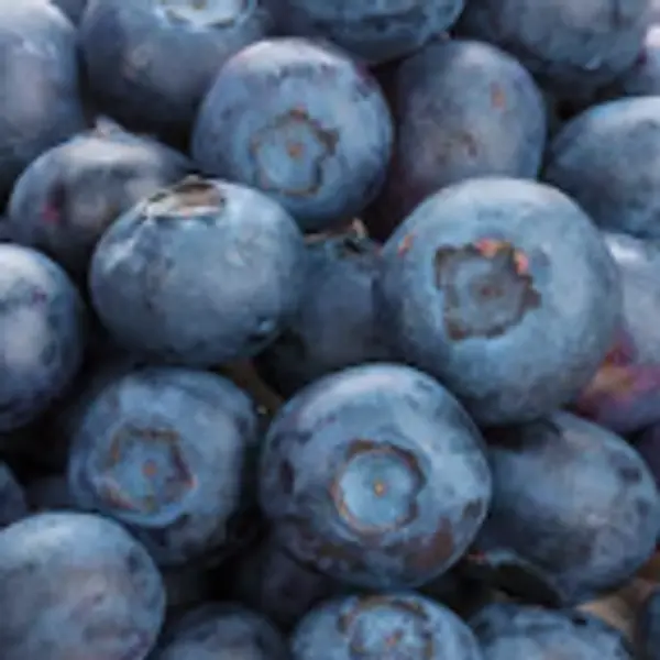 mawze-mbawze - Blueberry